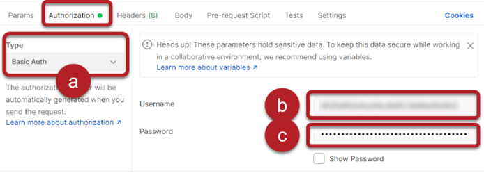 Enter credentials in the Authorization tab
